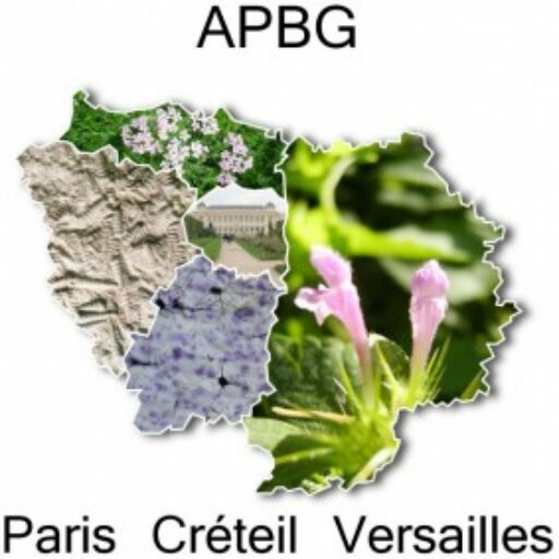 APBG Paris Créteil Versailles